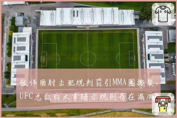 张伟丽肘击犯规判罚引MMA圈撕裂，UFC总裁白大拿暗示规则存在漏洞