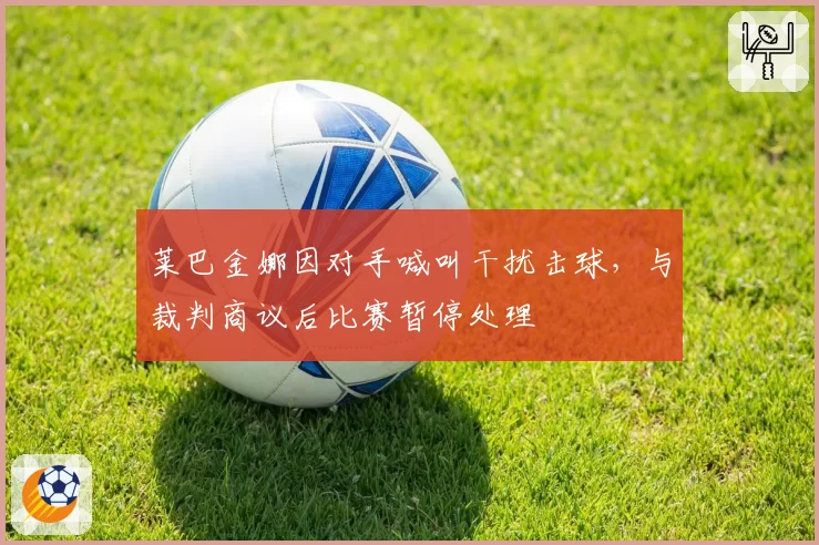 莱巴金娜因对手喊叫干扰击球，与裁判商议后比赛暂停处理