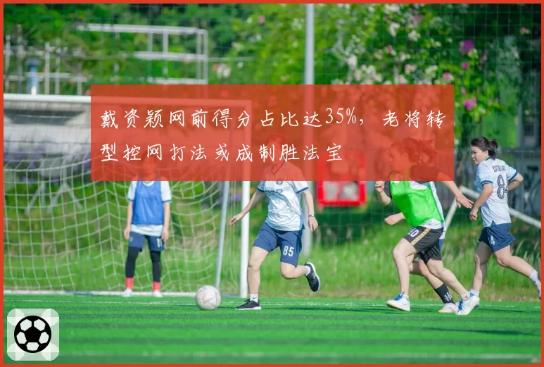 戴资颖网前得分占比达35%，老将转型控网打法或成制胜法宝
