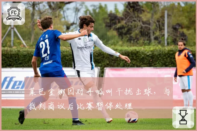 莱巴金娜因对手喊叫干扰击球，与裁判商议后比赛暂停处理